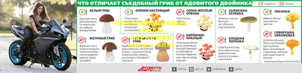 стафф Алексин