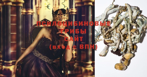 гидропоника Алексеевка