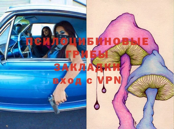 мяу мяу мука Алзамай