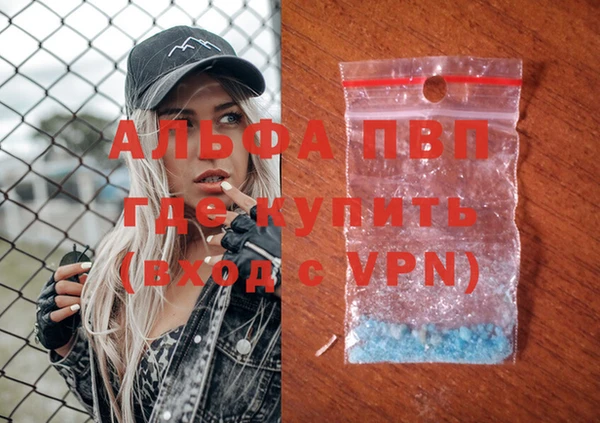 стафф Алексин