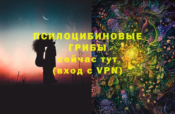 мяу мяу мука Алзамай